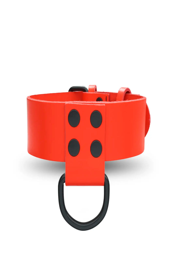KinkySabine - Lederhalsband für Herrn rot