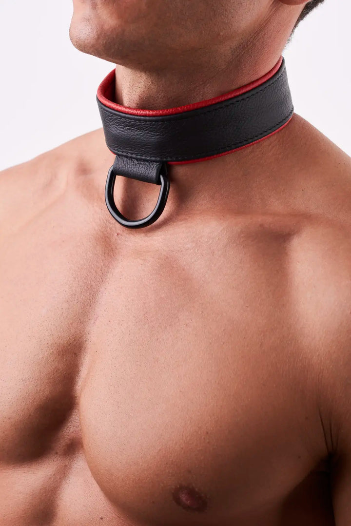 KinkySabine - weiches Lederhalsband für Herrn schwarz/rot
