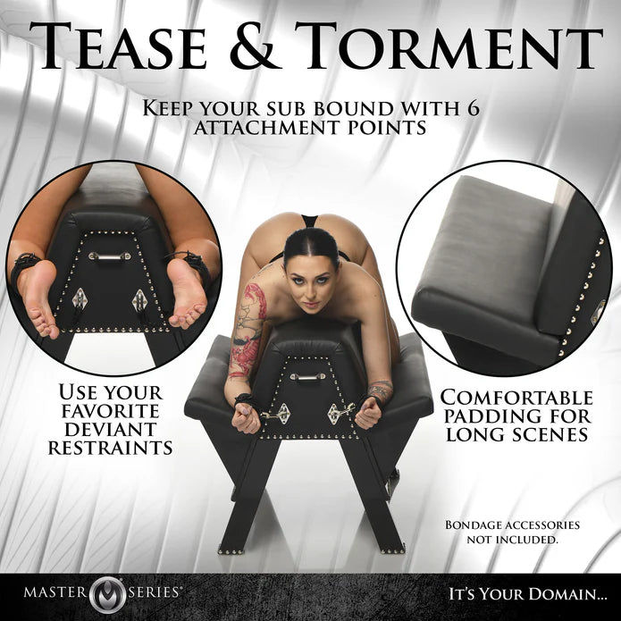 Master Series Bdsm Bank Bareback – zusätzliche Ansicht 8