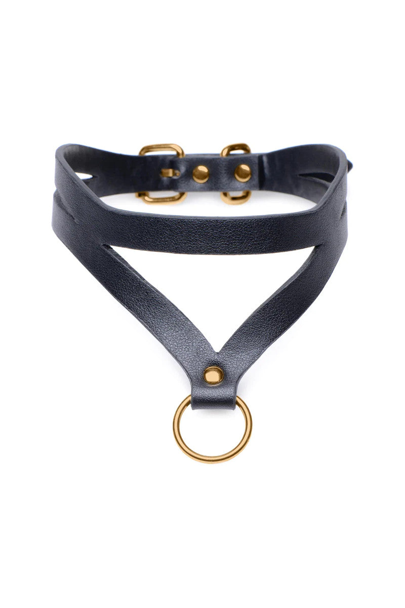Master Series Bondage Baddie Halsband Mit O Ring Schwarz Gold – Detailaufnahme Vorderseite