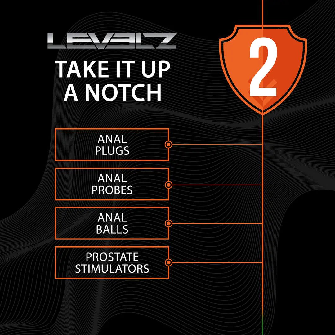 Levelz 2