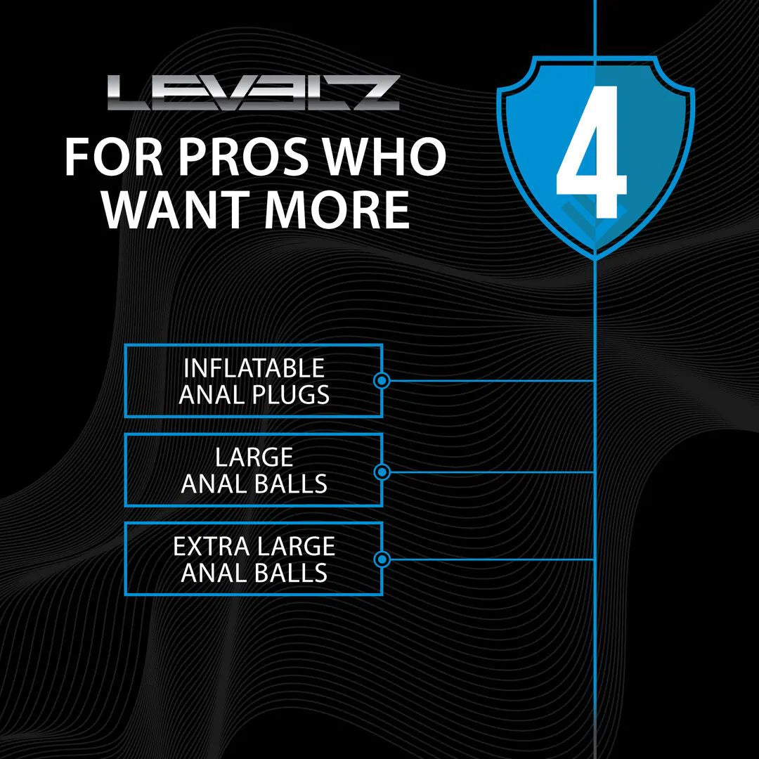 Levelz 4