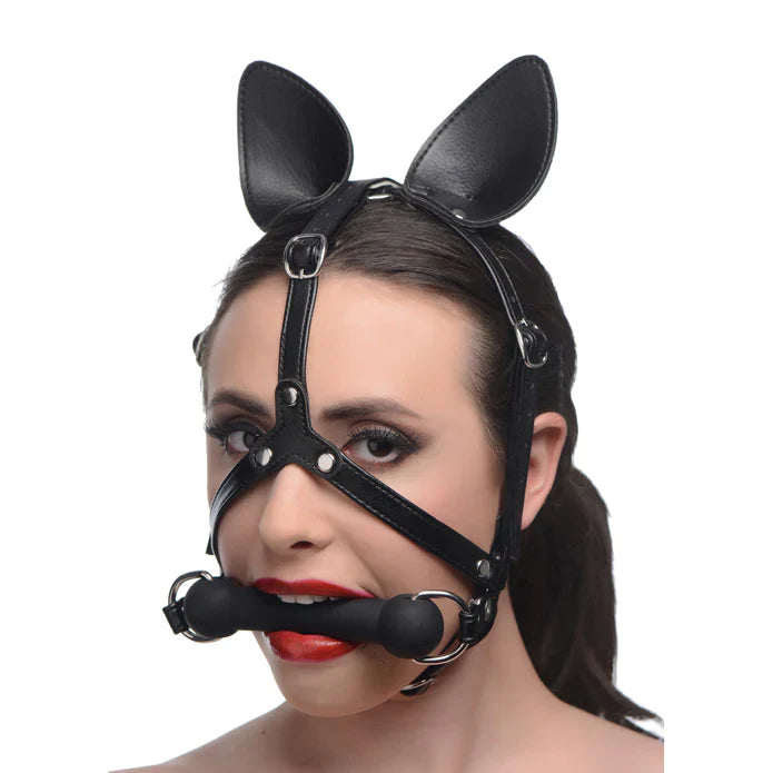 BDSM Masken kaufen — Augenmasken und Vollmasken fuer sensorische Kontrolle