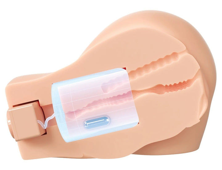 PDX Elite - Masturbator "Back That Ass UP"