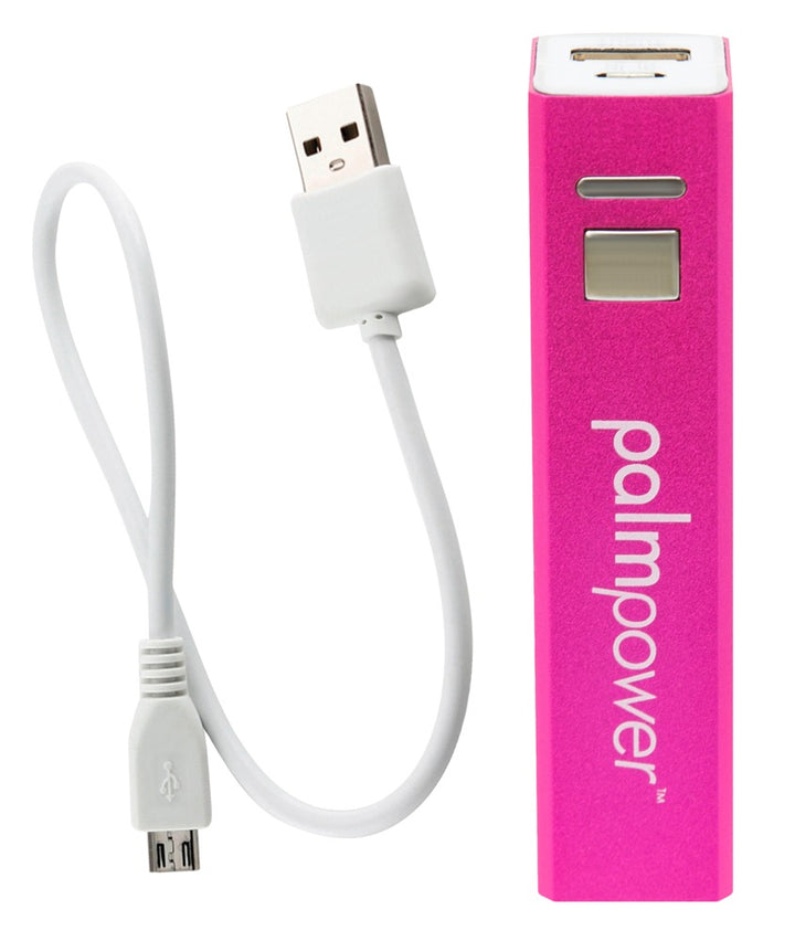 Palm Power - plug & play Wand