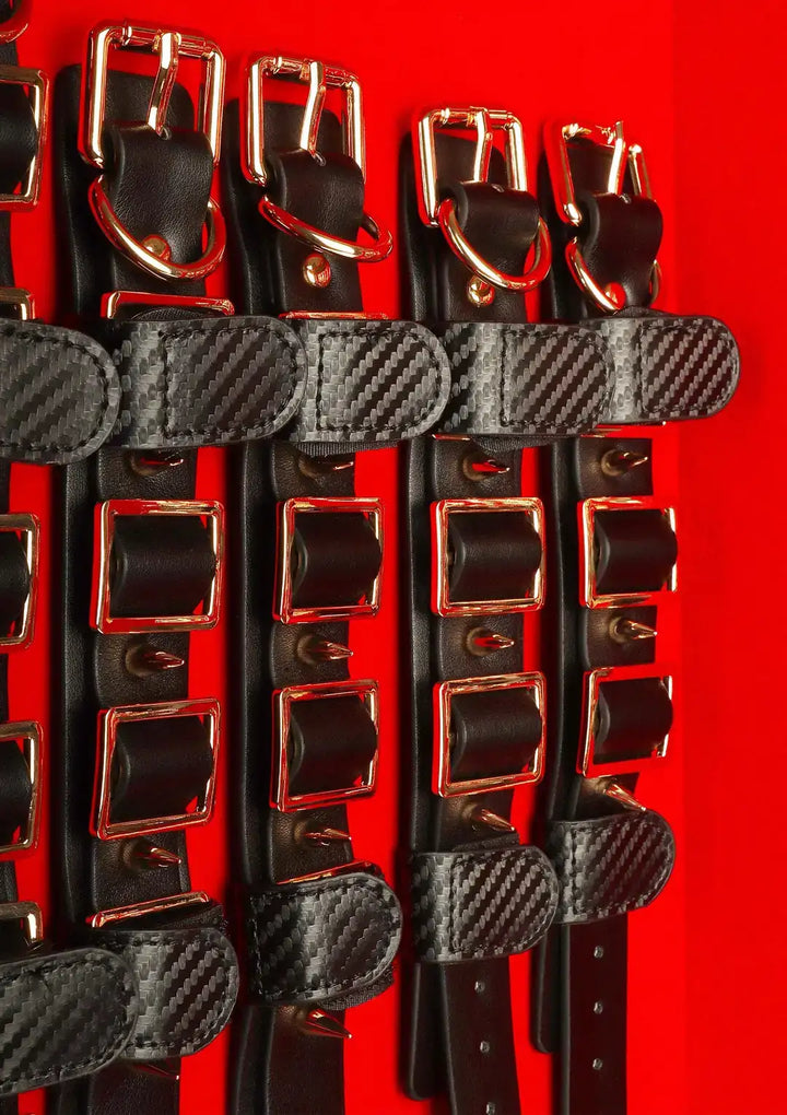 Taboom Desires Masterpiece Case – 11-teiliges BDSM-Set im Luxus-Koffer mit Halsband, Fesseln & Bondage-Zubehör