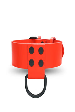 KinkySabine - Lederhalsband für Herrn rot