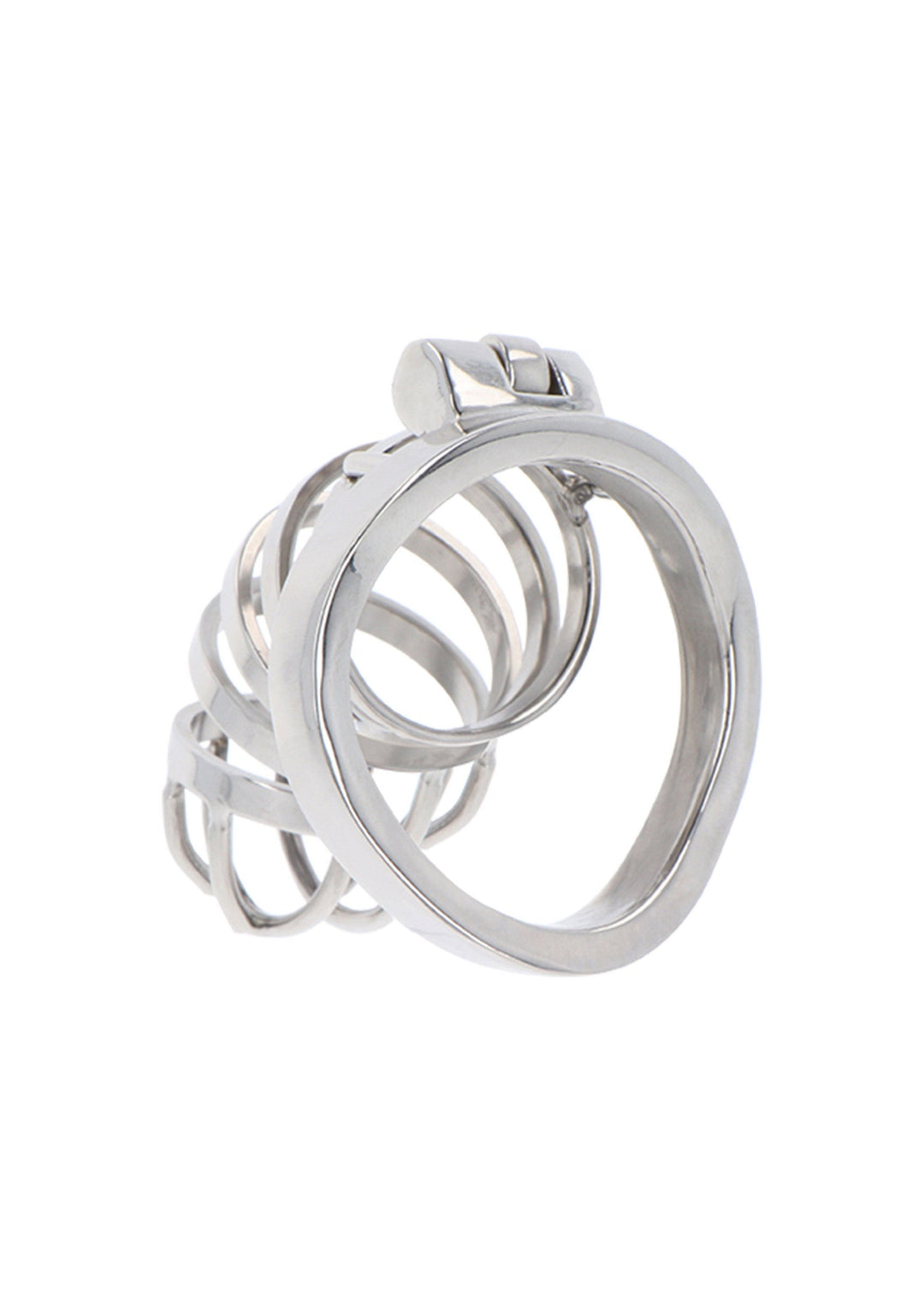 Hidden Desire Chastity Cock Cage Metal 4