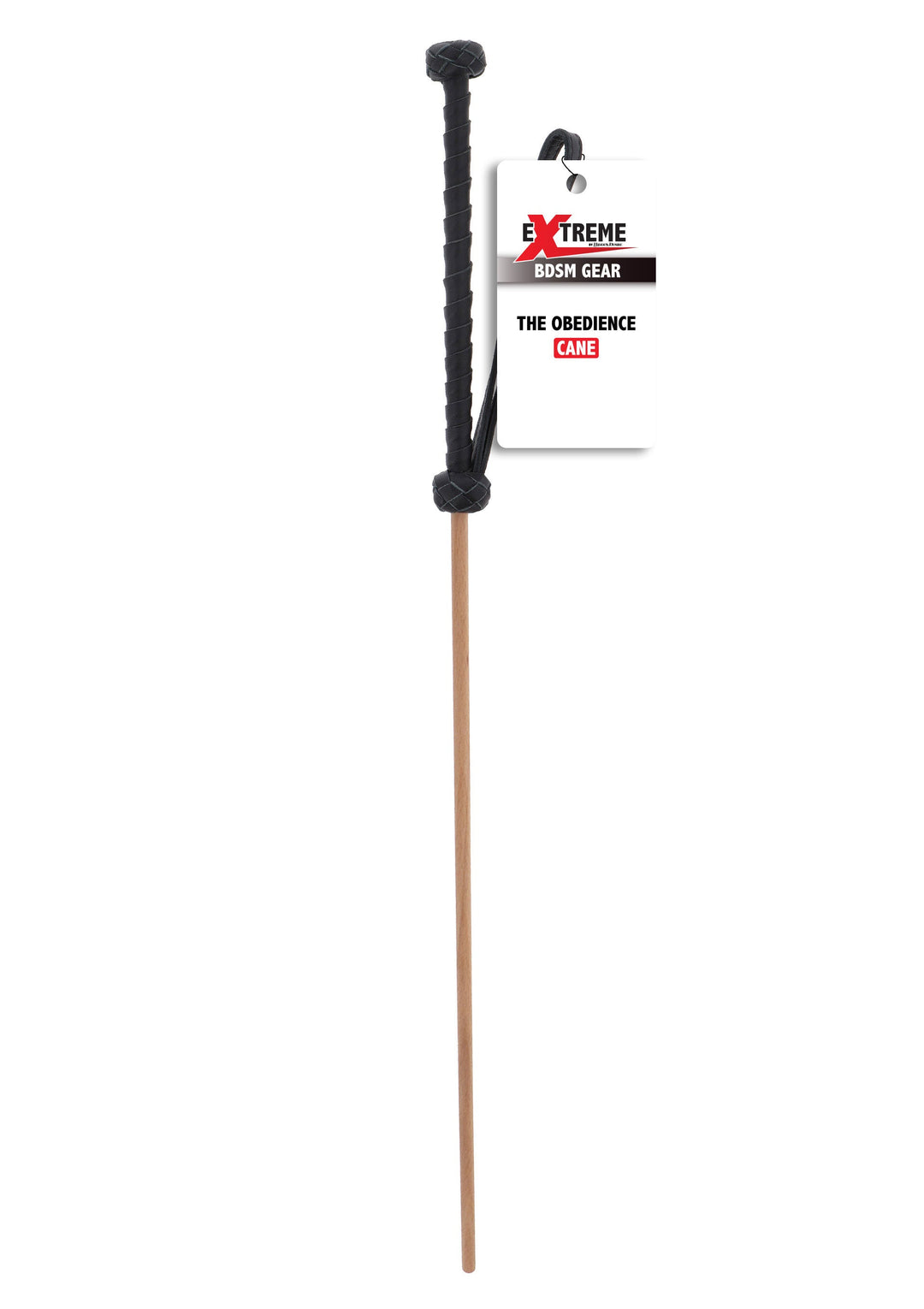 Hidden Desire The Obedience Cane 2