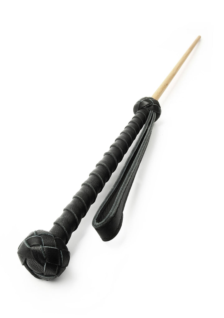 Hidden Desire The Obedience Cane 3