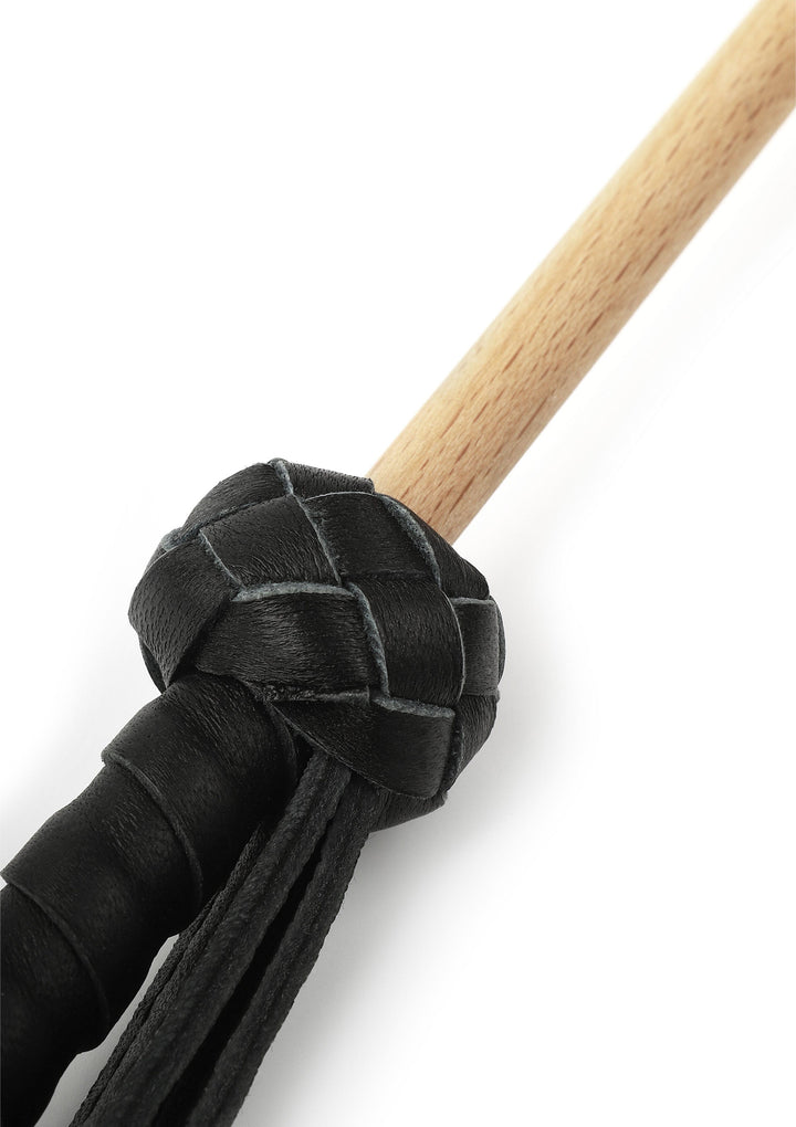 Hidden Desire The Obedience Cane 4