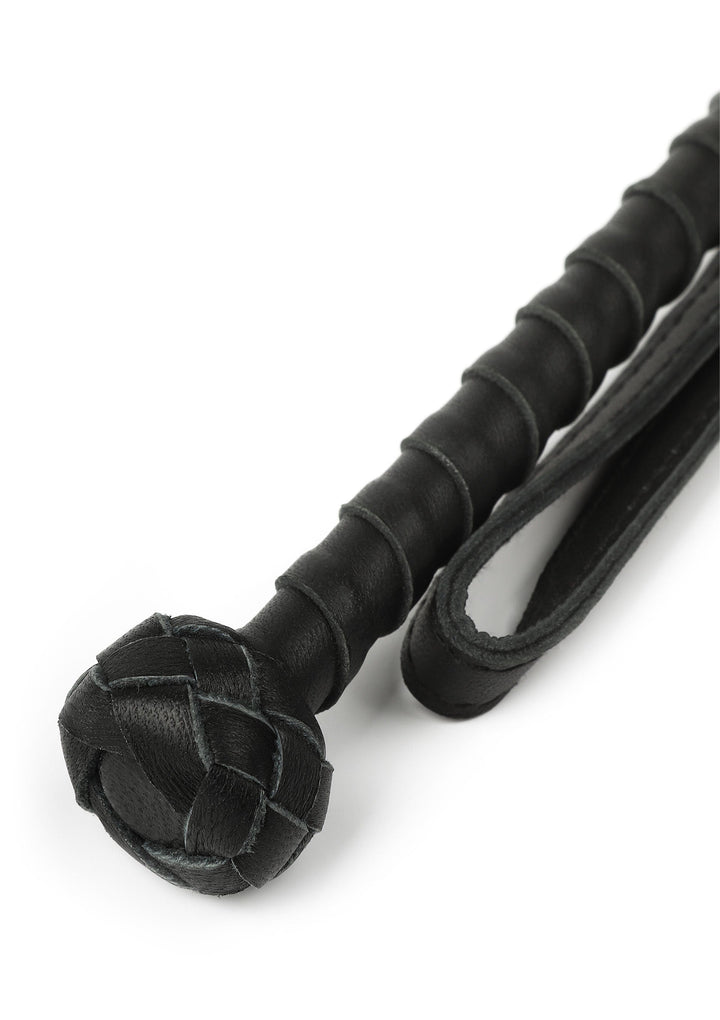 Hidden Desire The Obedience Cane 5