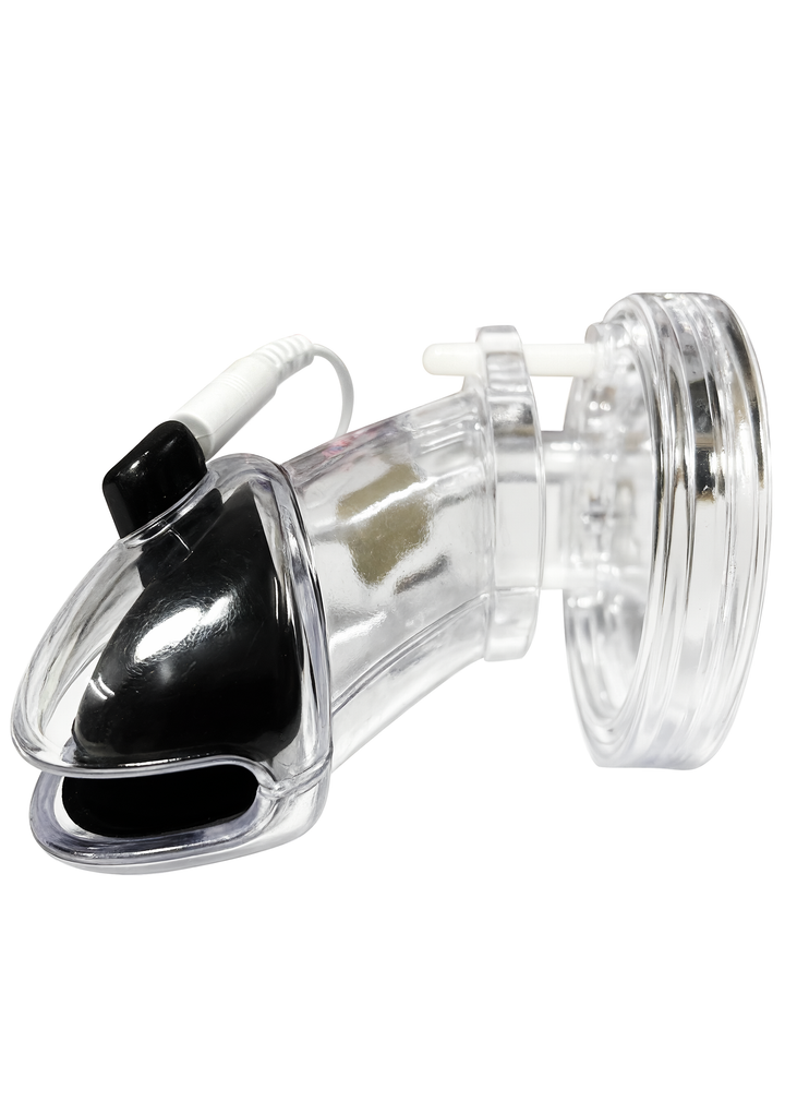 Hidden Desire Electro Cock Cage 7