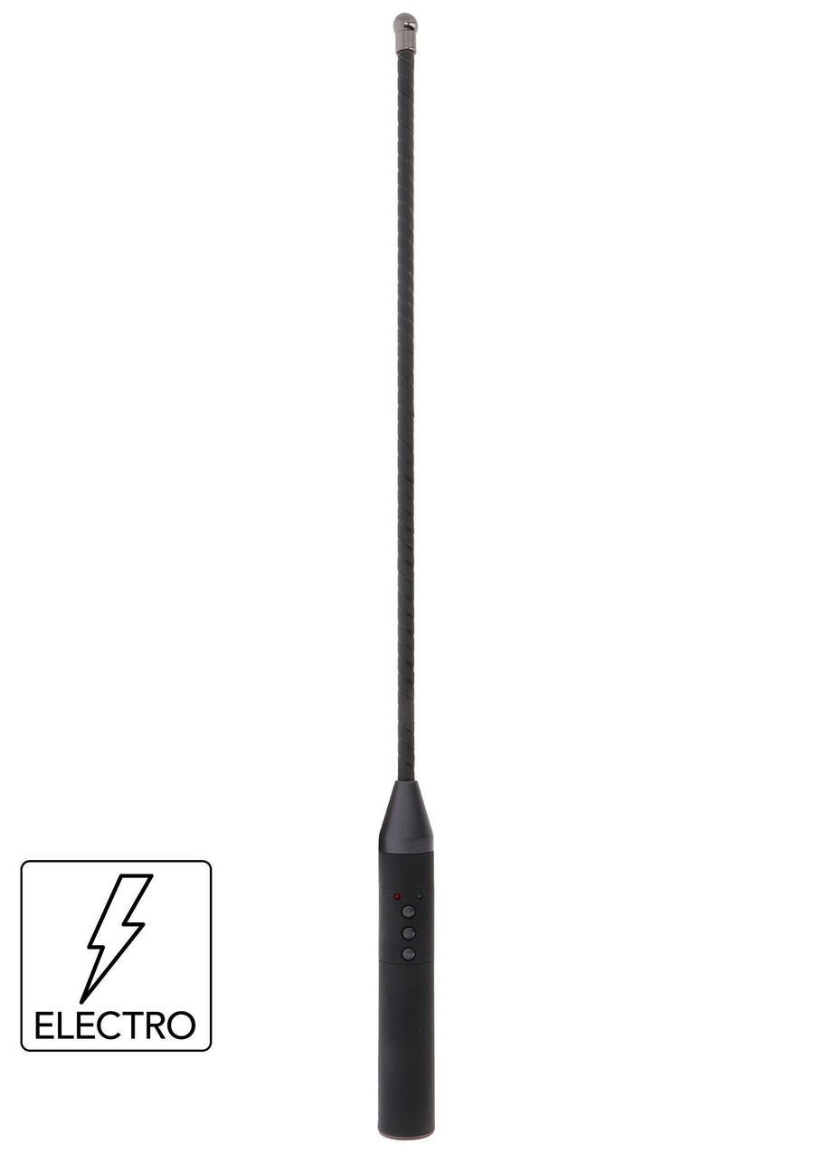 Hidden Desire Electro Shock Cane