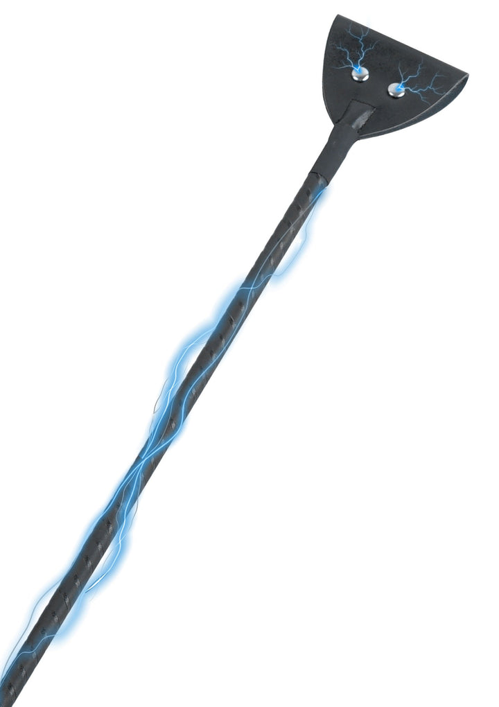 Hidden Desire Electro Shock Riding Crop 5