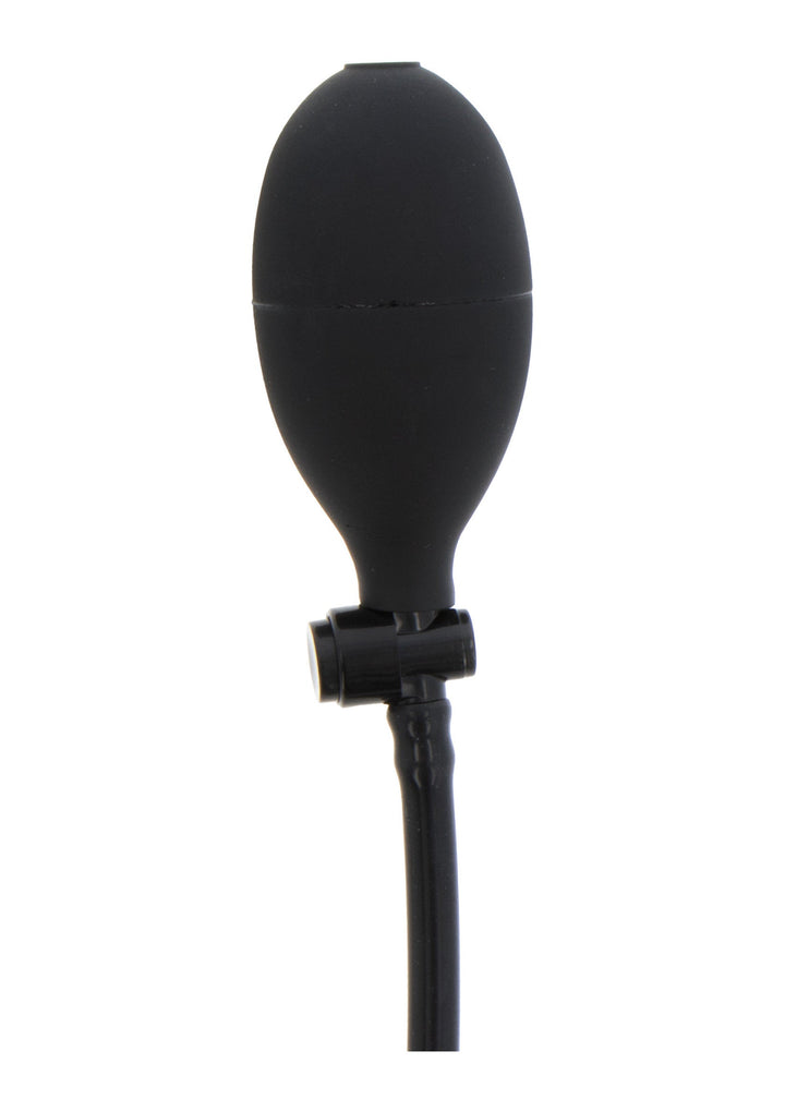 Hidden Desire Inflatable Bulb Plug Starter 6
