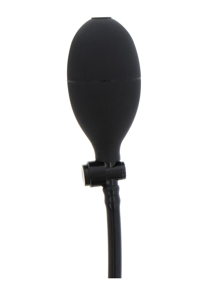 Hidden Desire Inflatable Smooth Plug Starter 5