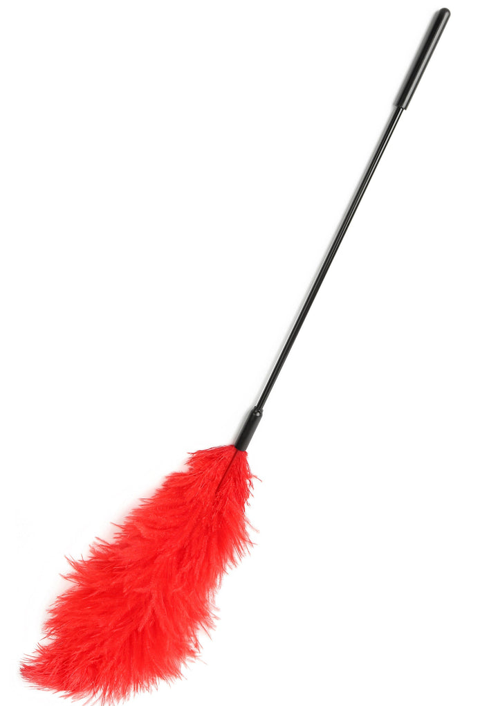 Hidden Desire Double Feather Tickler