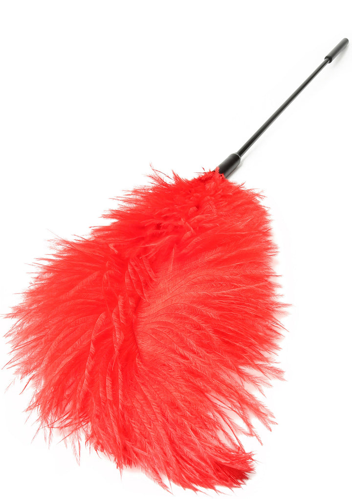 Hidden Desire Double Feather Tickler 3