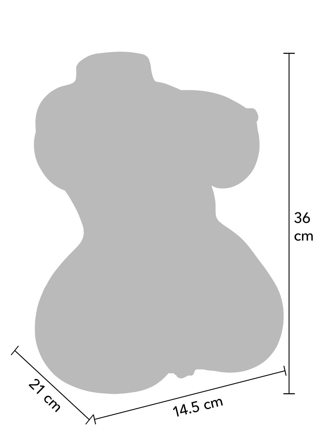 Hidden Desire Juicy Double D 5 kg 2