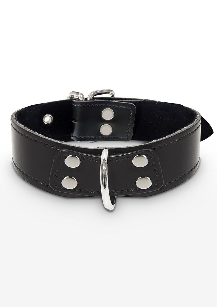 Taboom Elegant D-Ring Collar