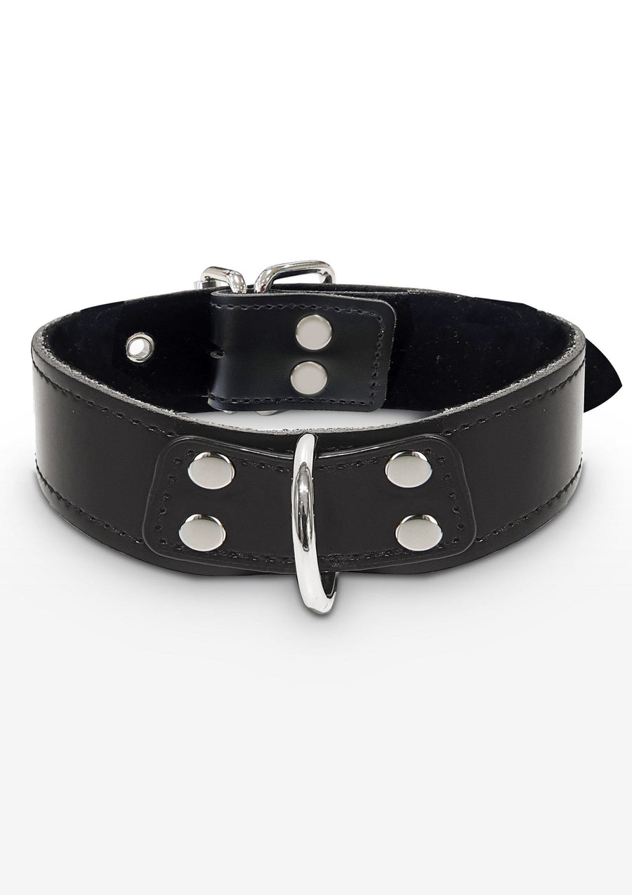 Taboom Elegant D-Ring Collar
