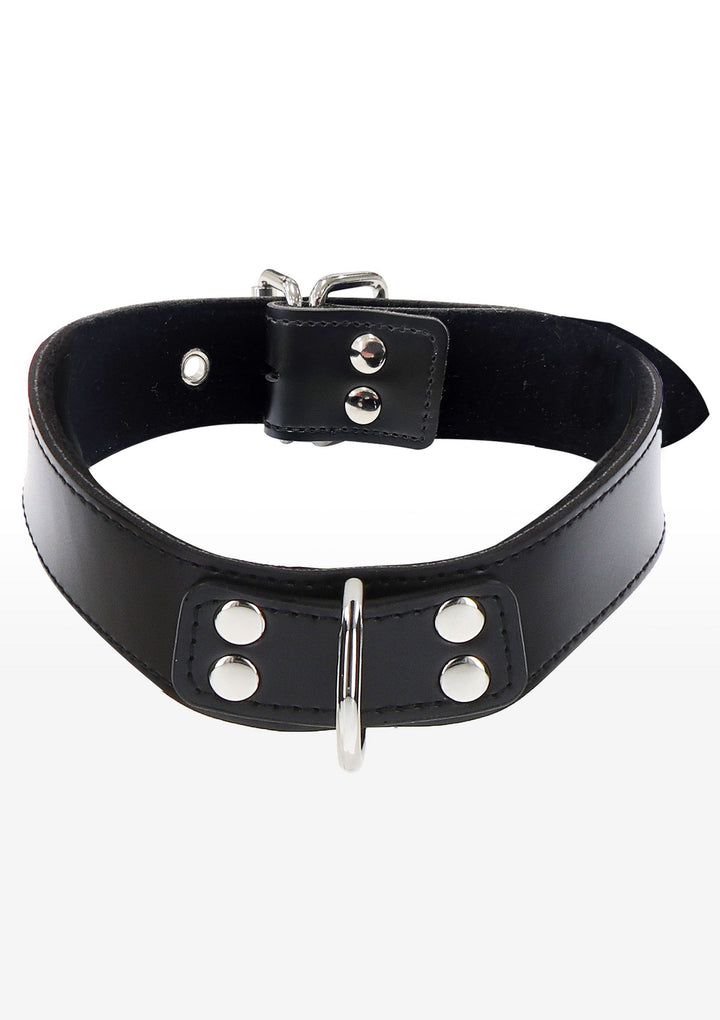 Taboom Elegant D-Ring Collar 5