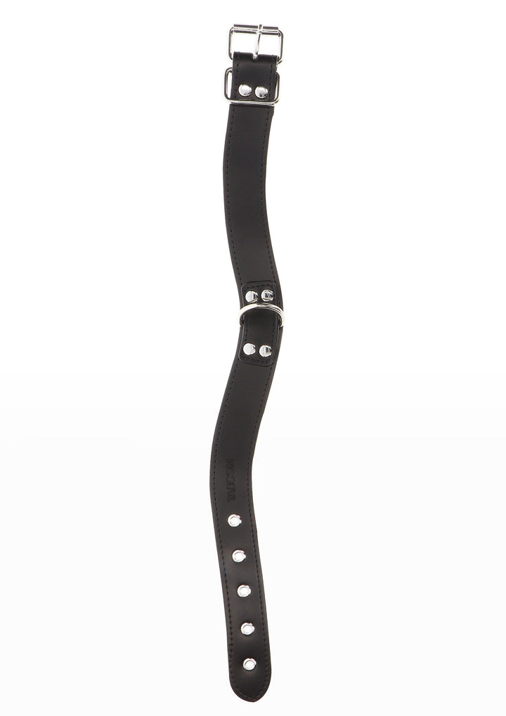 Taboom Elegant D-Ring Collar 6