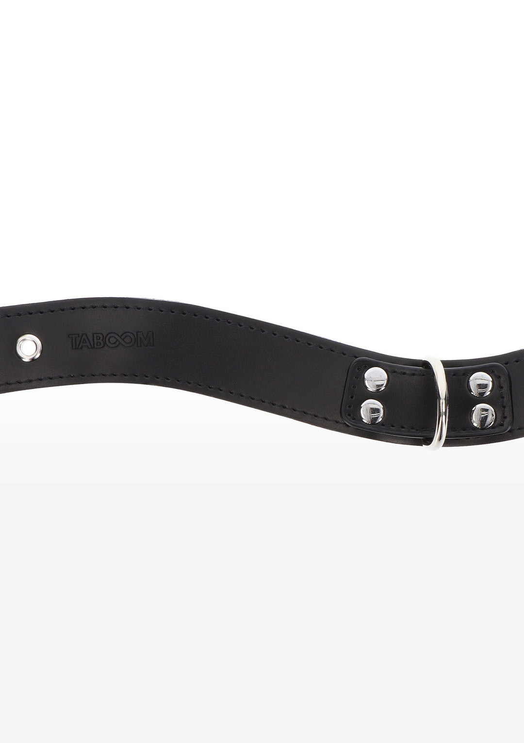 Taboom Elegant D-Ring Collar 2