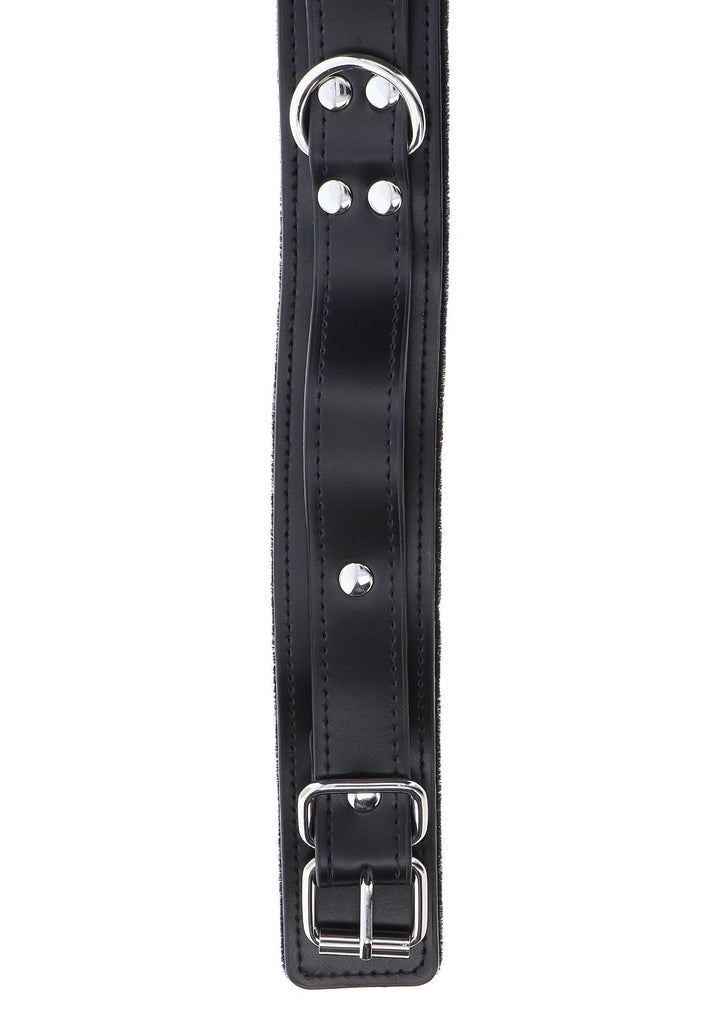Taboom Heavy D-Ring Collar 5