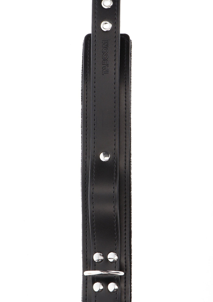Taboom Heavy D-Ring Collar 2