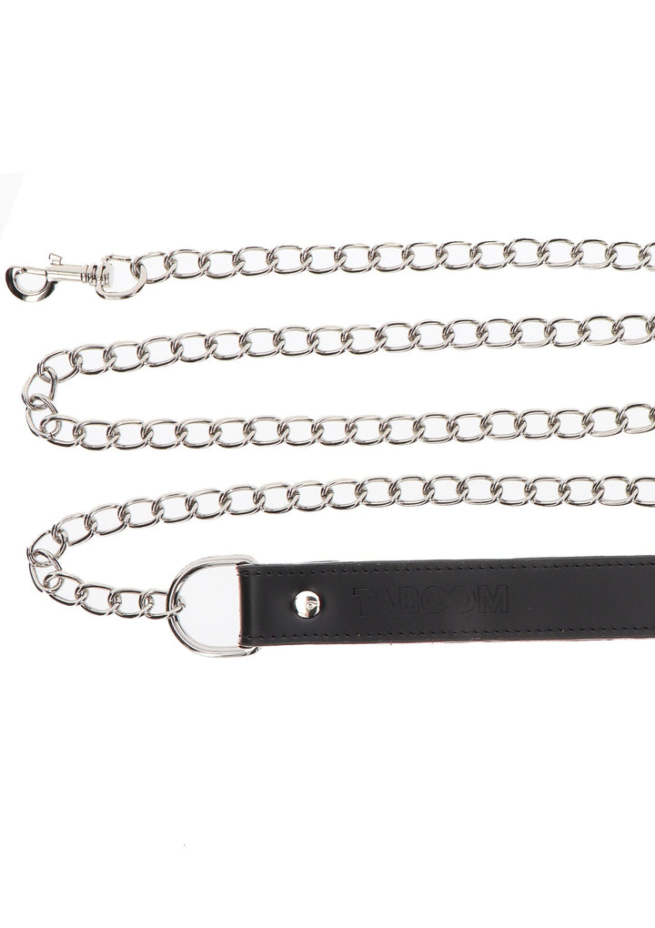Taboom Chain Leash 5