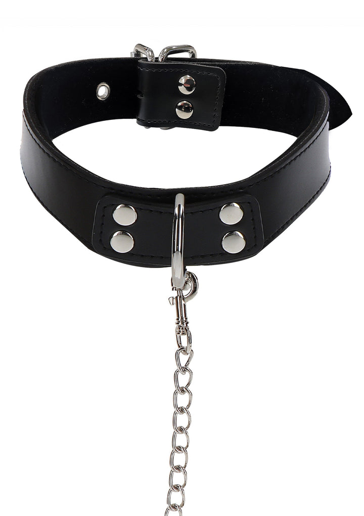 Taboom Elegant Collar and Chain Leash 5