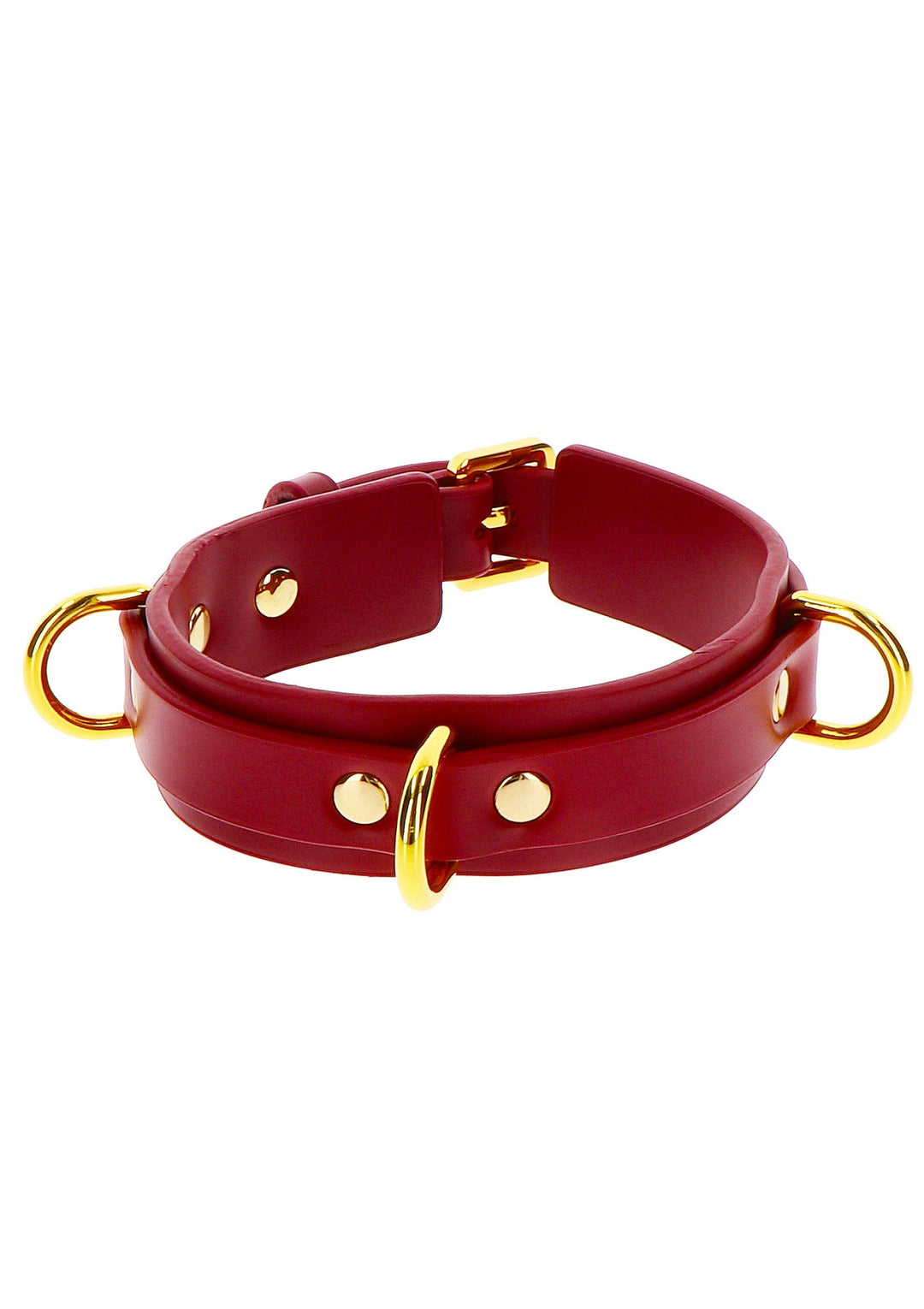 Taboom D-Ring Collar Deluxe 4