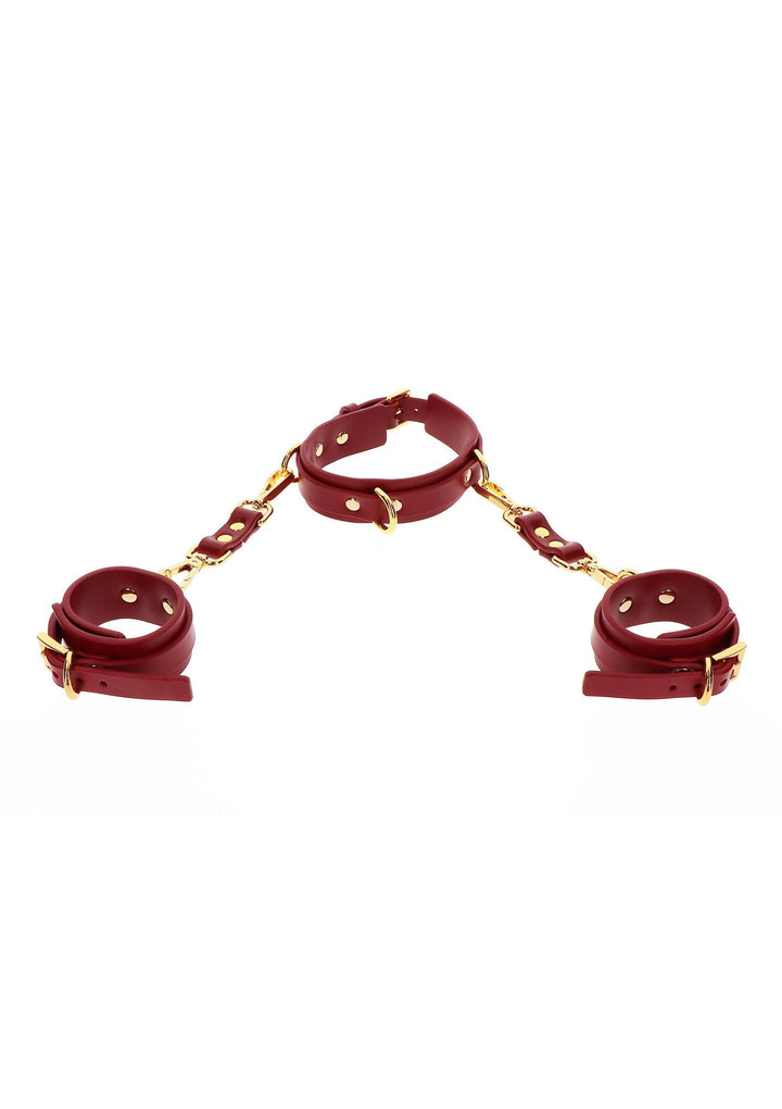 Taboom D-Ring Collar and Wrist Cuffs 5