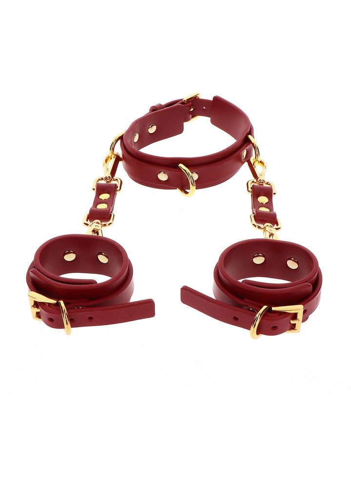 Taboom D-Ring Collar and Wrist Cuffs 2