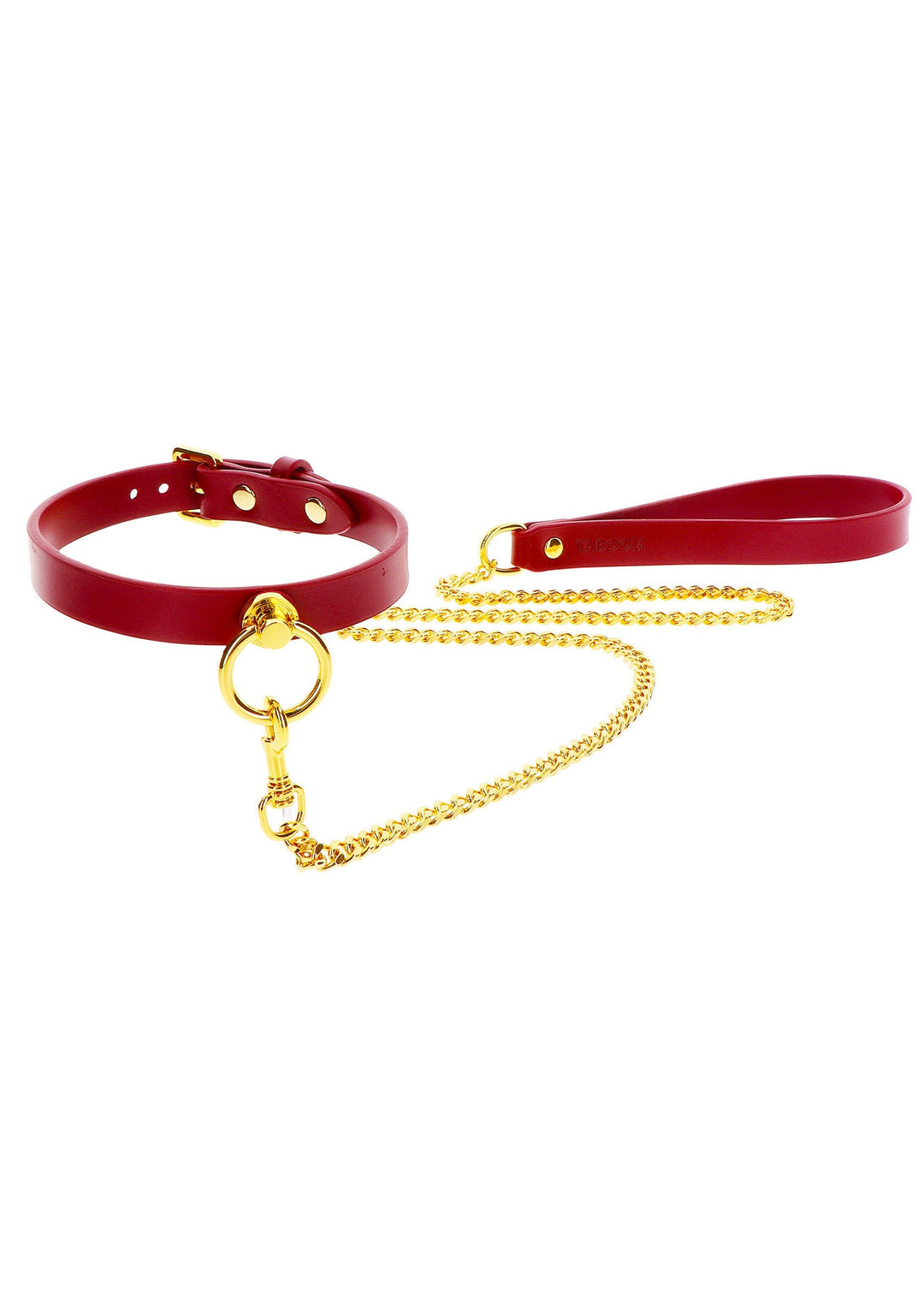 Taboom O-Ring Collar and Chain Leash 4