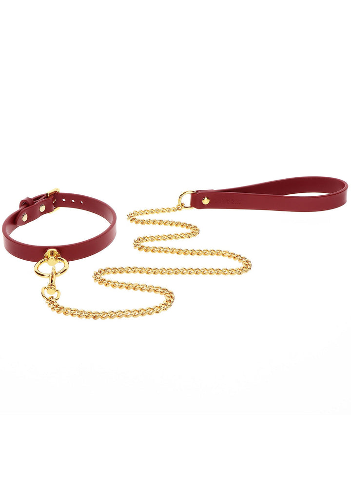 Taboom O-Ring Collar and Chain Leash 5