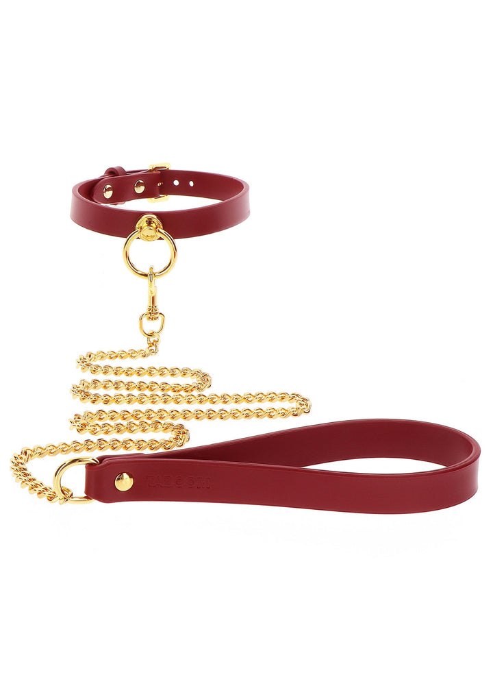 Taboom O-Ring Collar and Chain Leash 6