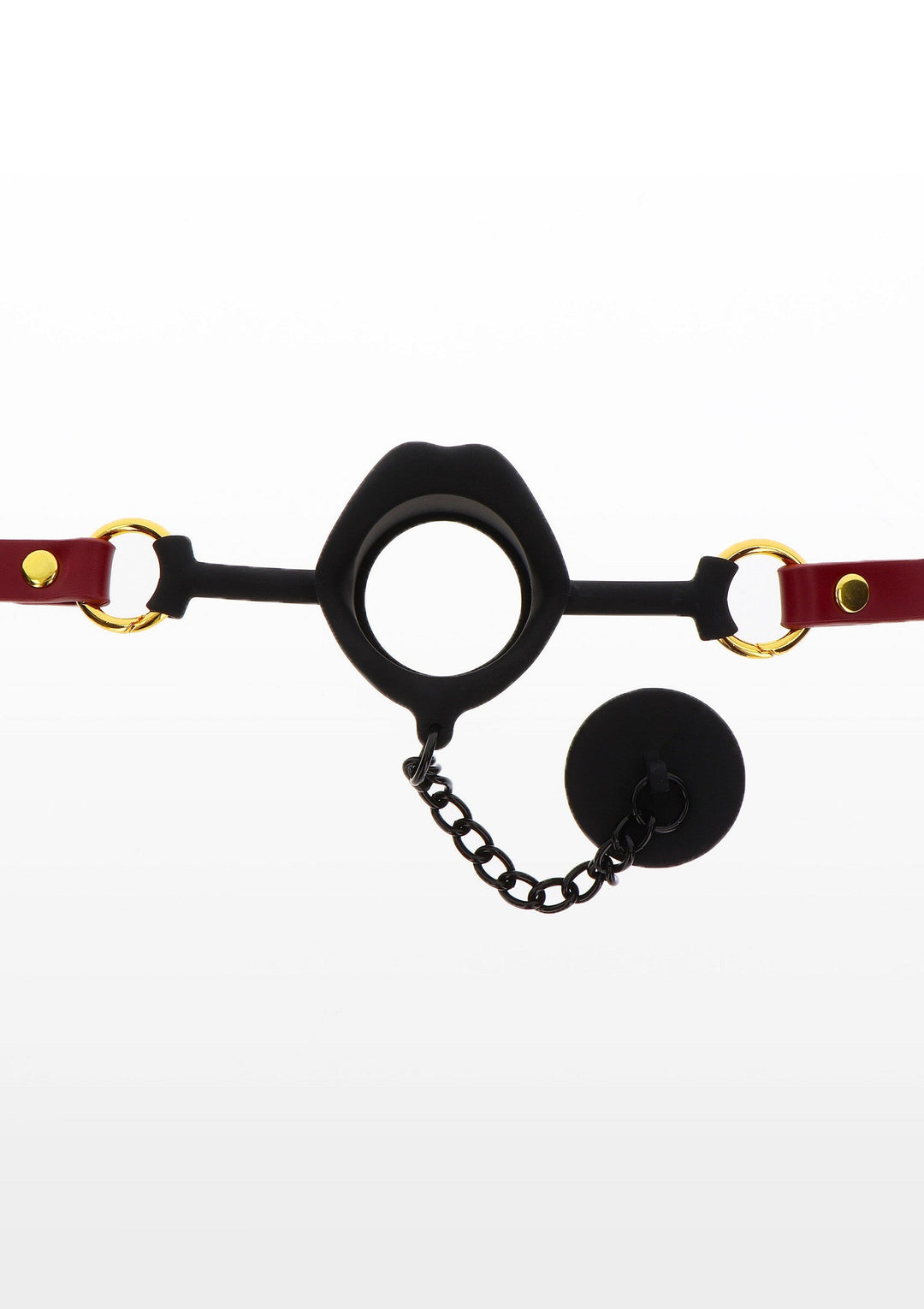 Taboom Kinky Gag with Plug 6