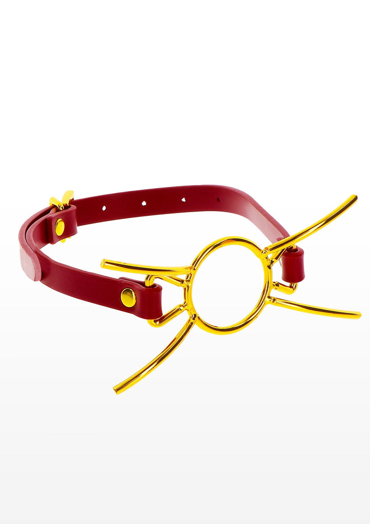 Taboom Open Mouth Spider Gag 4