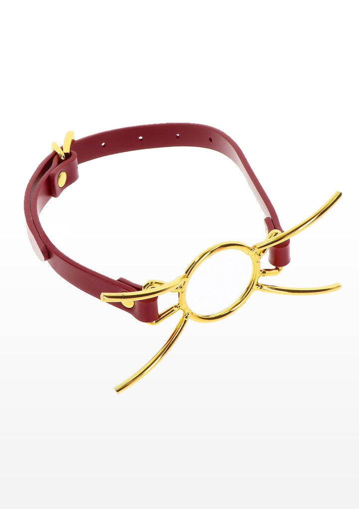 Taboom Open Mouth Spider Gag 5