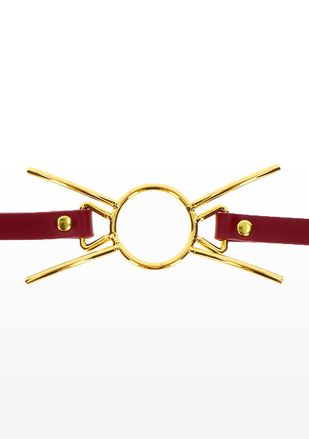 Taboom Open Mouth Spider Gag 2