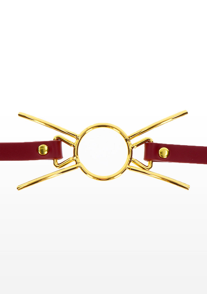 Taboom Open Mouth Spider Gag 2