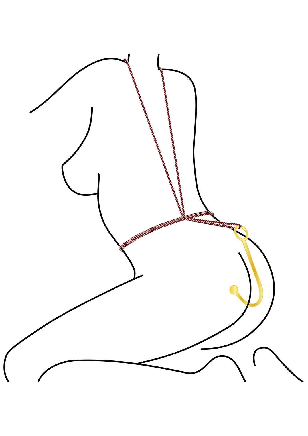 Taboom Luxury Anal Hook 2