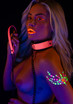 Taboom Collar and Chain Leash