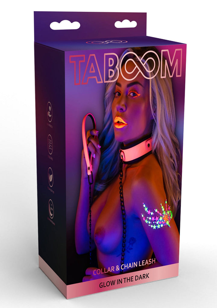 Taboom Collar and Chain Leash 3