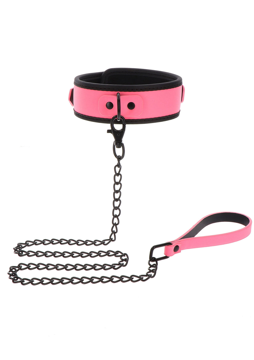Taboom Collar and Chain Leash 4