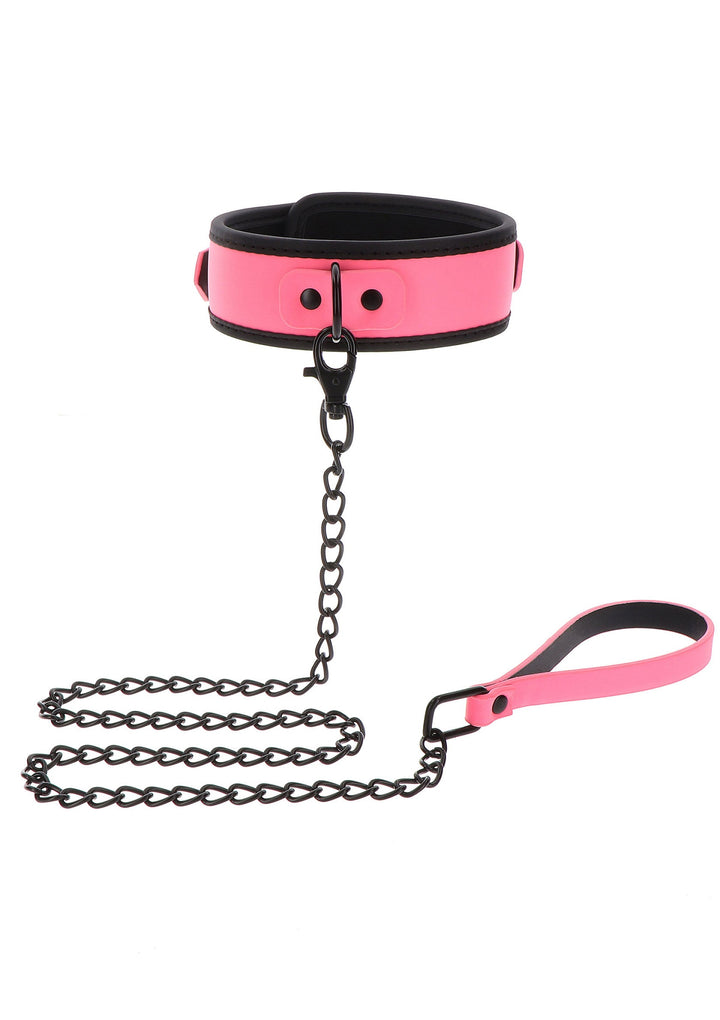Taboom Collar and Chain Leash 4