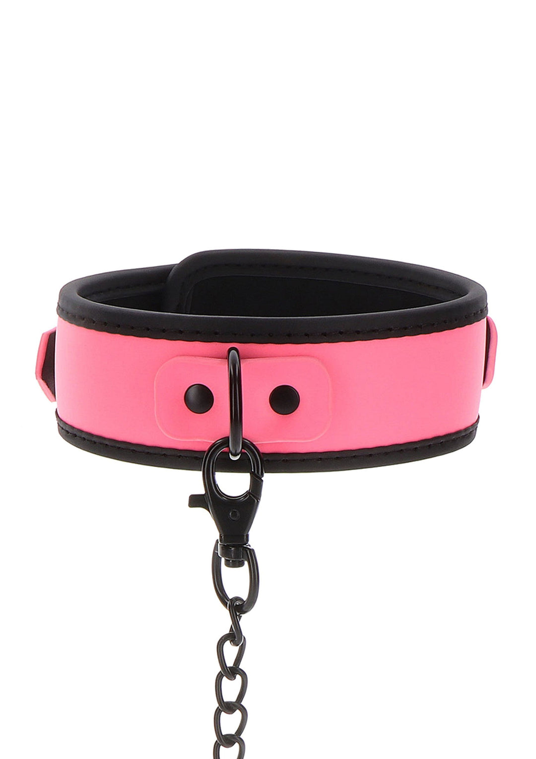 Taboom Collar and Chain Leash 5